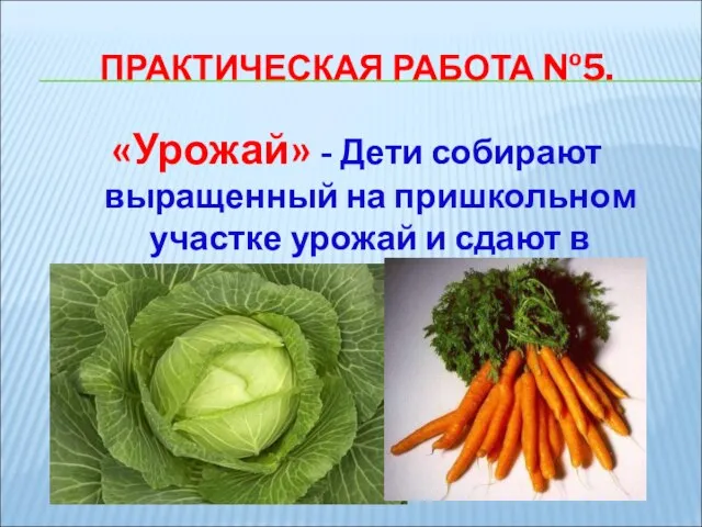 ПРАКТИЧЕСКАЯ РАБОТА №5. «Урожай» - Дети собирают выращенный на пришкольном участке урожай