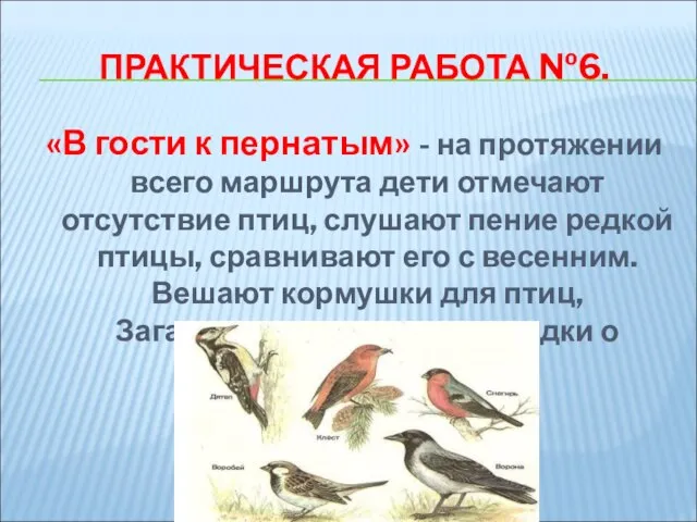 ПРАКТИЧЕСКАЯ РАБОТА №6. «В гости к пернатым» - на протяжении всего маршрута