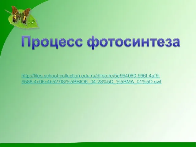 http://files.school-collection.edu.ru/dlrstore/5e994060-996f-4af9- 9588-4c06c4b527f8/%5BBIO6_04-28%5D_%5BMA_01%5D.swf