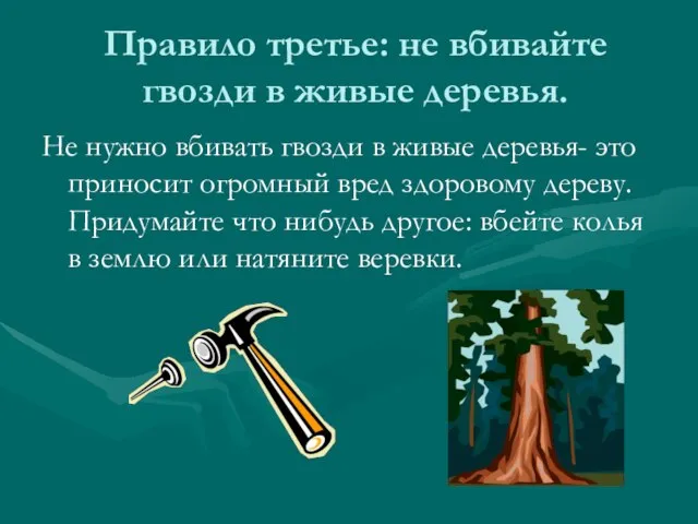 Правило третье: не вбивайте гвозди в живые деревья. Не нужно вбивать гвозди