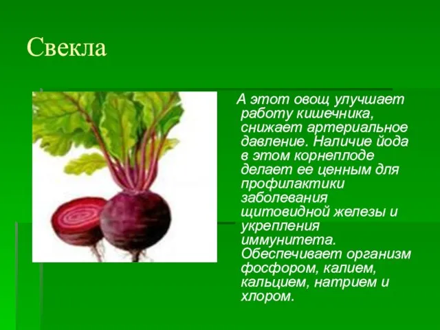 Свекла А этот овощ улучшает работу кишечника, снижает артериальное давление. Наличие йода