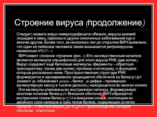 Строение вируса (продолжение) Следует назвать вирус иммунодефицита обезьян, вирусы анемий лошадей и