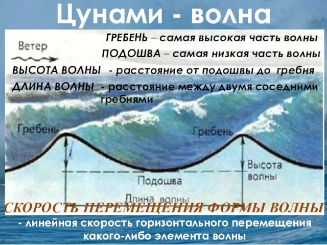 Цунами - волна ГРЕБЕНЬ – самая высокая часть волны ПОДОШВА – самая