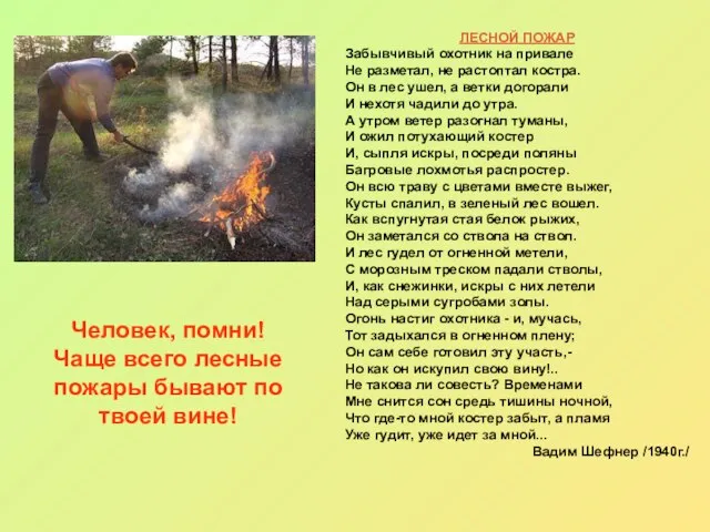 Человек, помни! Чаще всего лесные пожары бывают по твоей вине! ЛЕСНОЙ ПОЖАР