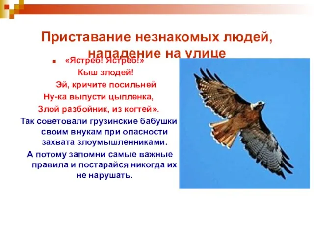 Приставание незнакомых людей, нападение на улице «Ястреб! Ястреб!» Кыш злодей! Эй, кричите