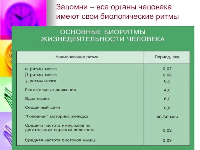 Запомни – все органы человека имеют свои биологические ритмы