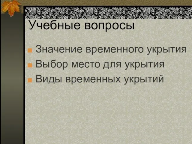 Учебные вопросы Значение временного укрытия Выбор место для укрытия Виды временных укрытий