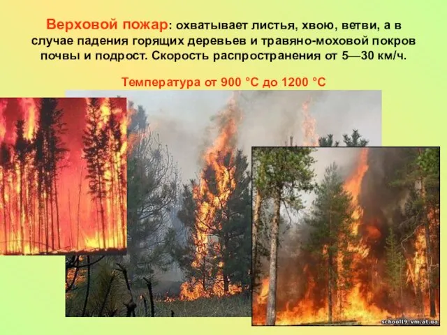 Верховой пожар: охватывает листья, хвою, ветви, а в случае падения горящих деревьев