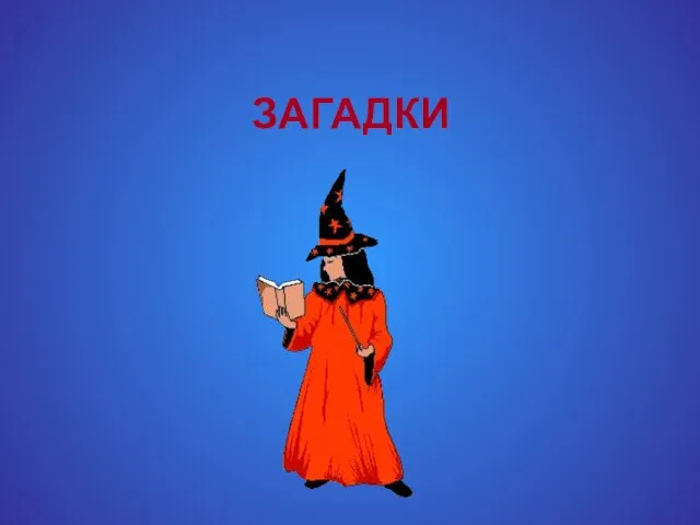 ЗАГАДКИ