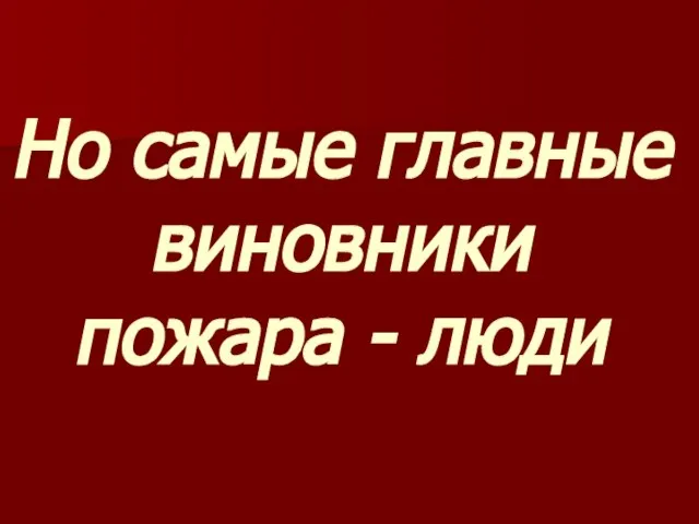 Но самые главные виновники пожара - люди