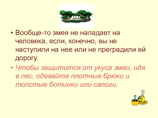 Вообще-то змея не нападает на человека, если, конечно, вы не наступили на