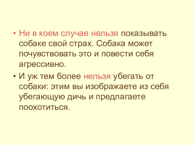 Ни в коем случае нельзя показывать собаке свой страх. Собака может почувствовать