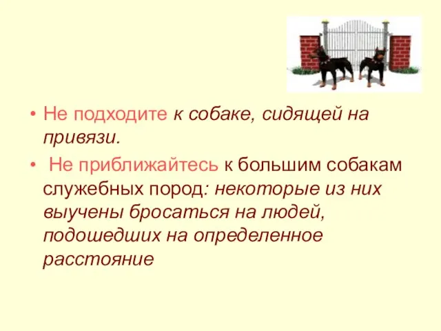 Не подходите к собаке, сидящей на привязи. Не приближайтесь к большим собакам