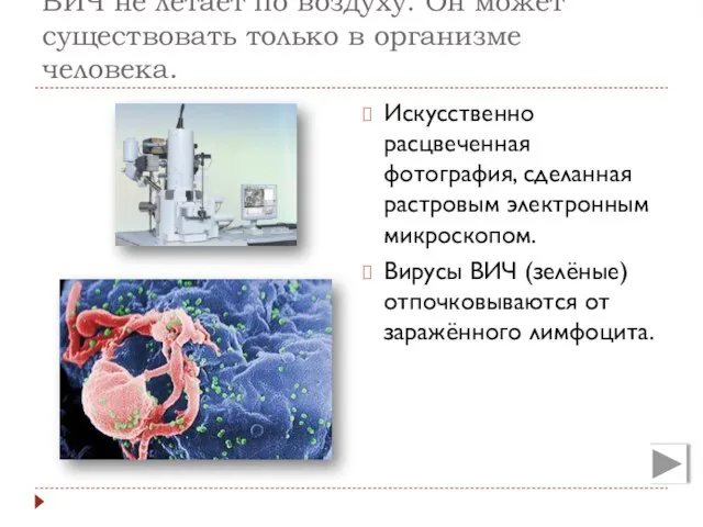 ВИЧ не летает по воздуху. Он может существовать только в организме человека.