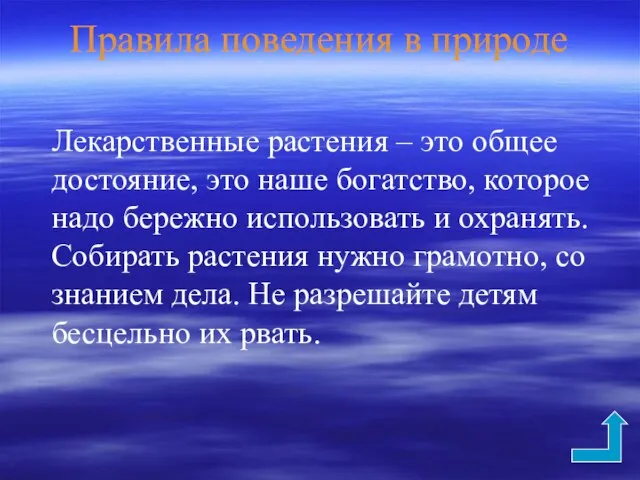 Правила поведения в природе Лекарственные растения – это общее достояние, это наше