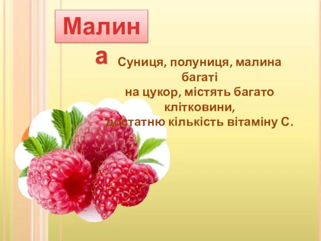 Малина Суниця, полуниця, малина багаті на цукор, містять багато клітковини, достатню кількість вітаміну С.