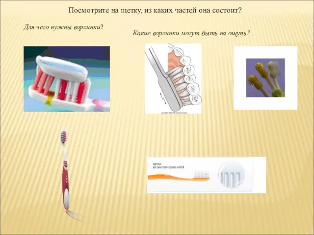 Посмотрите на щетку, из каких частей она состоит? Для чего нужны ворсинки?