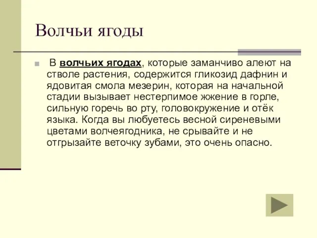 Волчьи ягоды В волчьих ягодах, которые заманчиво алеют на стволе растения, содержится