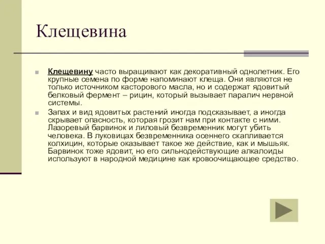 Клещевина Клещевину часто выращивают как декоративный однолетник. Его крупные семена по форме