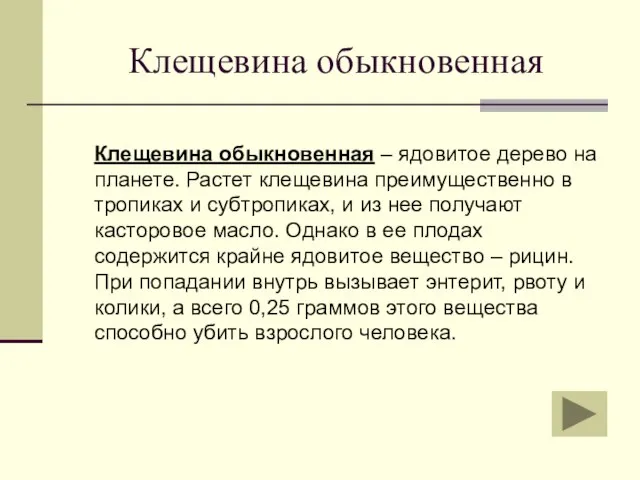 Клещевина обыкновенная Клещевина обыкновенная – ядовитое дерево на планете. Растет клещевина преимущественно