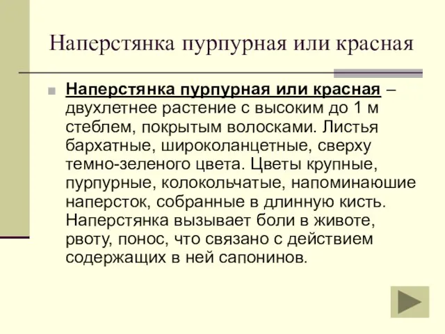 Наперстянка пурпурная или красная Наперстянка пурпурная или красная – двухлетнее растение с