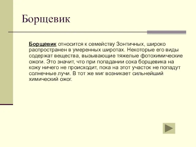 Борщевик Борщевик относится к семейству Зонтичных, широко распространен в умеренных широтах. Некоторые