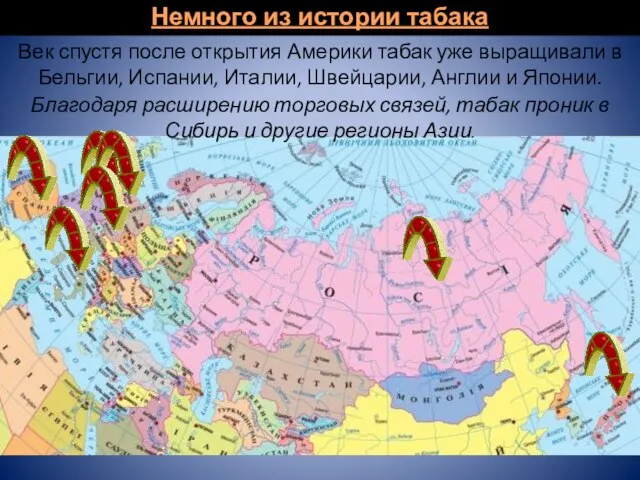 Век спустя после открытия Америки табак уже выращивали в Бельгии, Испании, Италии,