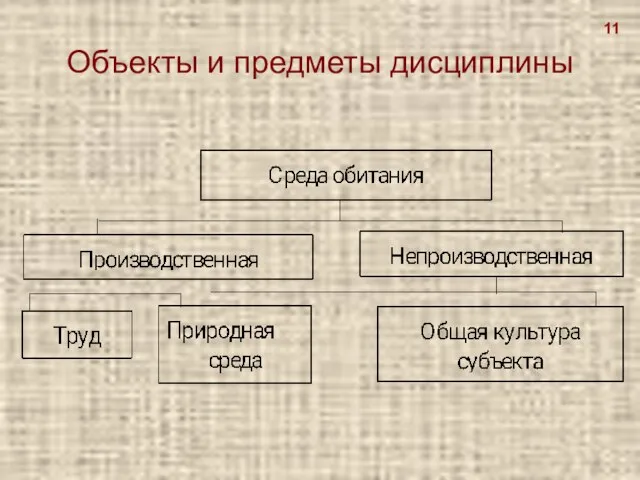 Объекты и предметы дисциплины 11