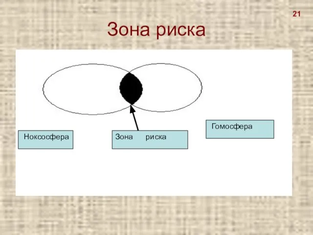 Зона риска Ноксосфера Гомосфера Зона риска 21