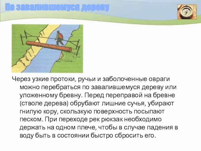 По завалившемуся дереву Через узкие протоки, ручьи и заболоченные овраги можно перебраться