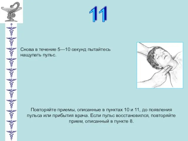 11 Снова в течение 5—10 секунд пытайтесь нащупать пульс. Повторяйте приемы, описанные