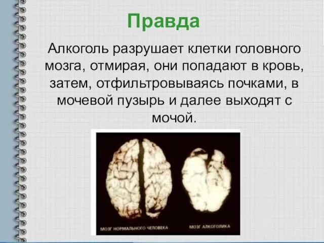 Правда Алкоголь разрушает клетки головного мозга, отмирая, они попадают в кровь, затем,