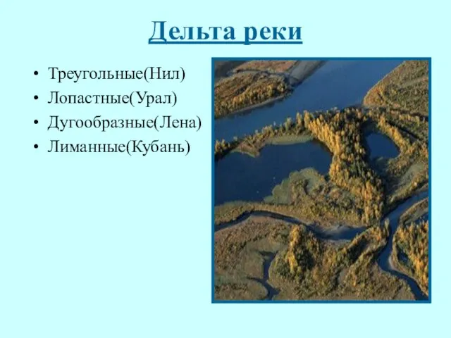 Дельта реки Треугольные(Нил) Лопастные(Урал) Дугообразные(Лена) Лиманные(Кубань)