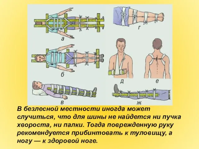 В безлесной местности иногда может случиться, что для шины не найдется ни