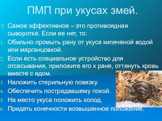 ПМП при укусах змей. Самое эффективное – это противоядная сыворотка. Если ее