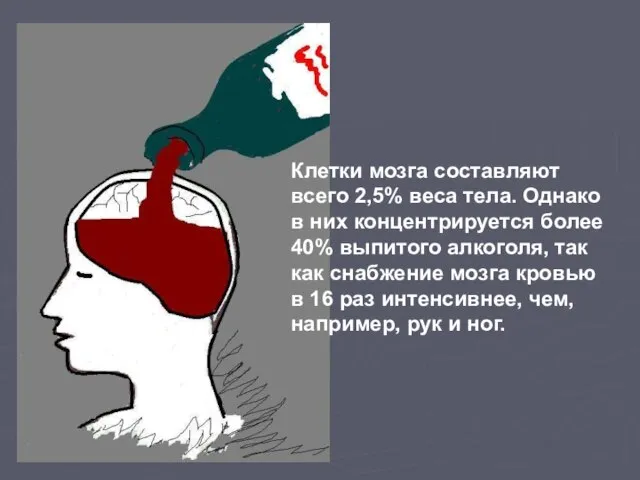 Клетки мозга составляют всего 2,5% веса тела. Однако в них концентрируется более