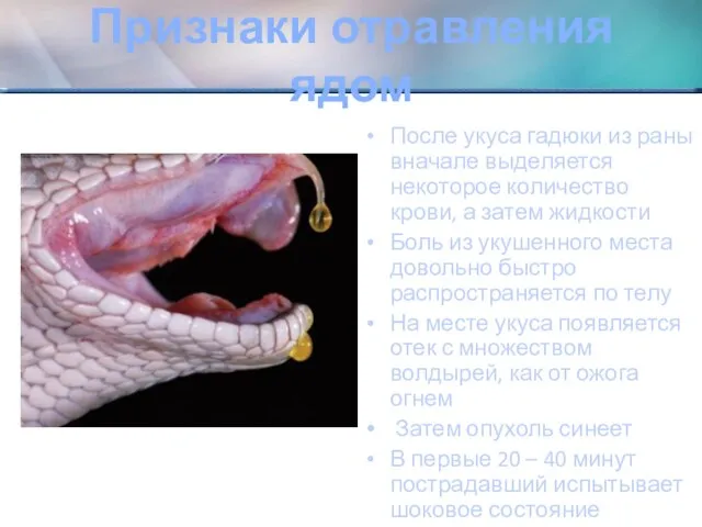 Признаки отравления ядом После укуса гадюки из раны вначале выделяется некоторое количество