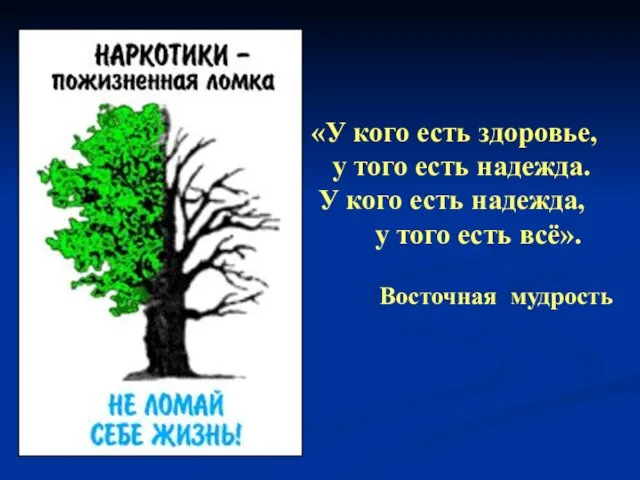 «У кого есть здоровье, у того есть надежда. У кого есть надежда,