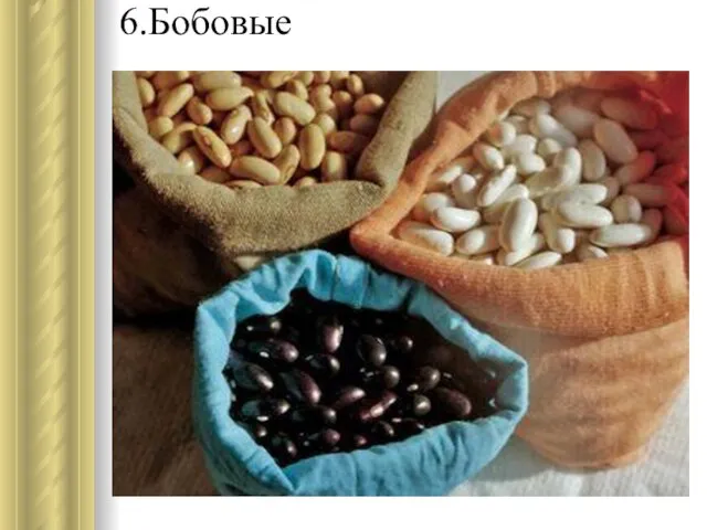 6.Бобовые