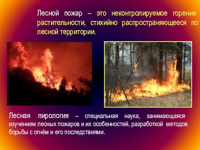 Лесной пожар – это неконтролируемое горение растительности, стихийно распространяющееся по лесной территории.