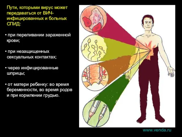 Пути, которыми вирус может передаваться от ВИЧ-инфицированных и больных СПИД: при переливании