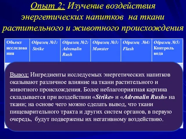 Опыт 2: Изучение воздействия энергетических напитков на ткани растительного и животного происхождения