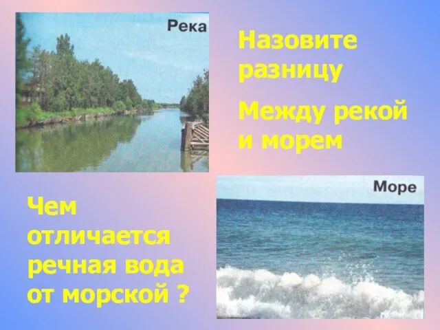 Назовите разницу Между рекой и морем Чем отличается речная вода от морской ?