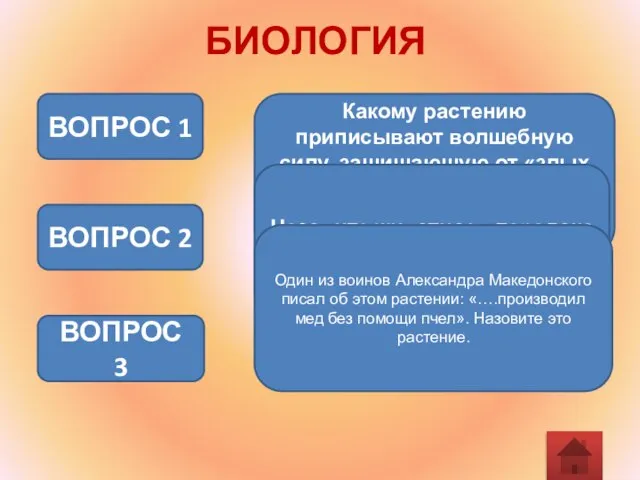 БИОЛОГИЯ Какому растению приписывают волшебную силу, защищающую от «злых духов» и мифических