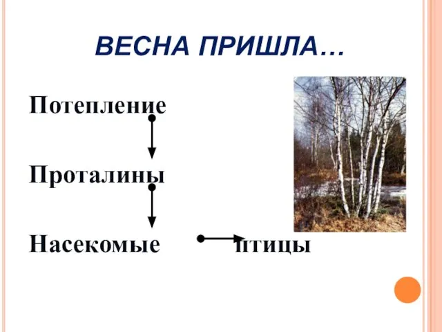 Потепление Проталины Насекомые птицы ВЕСНА ПРИШЛА…