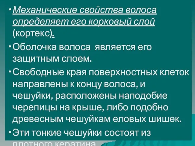 Механические свойства волоса определяет его корковый слой (кортекс). Оболочка волоса является его