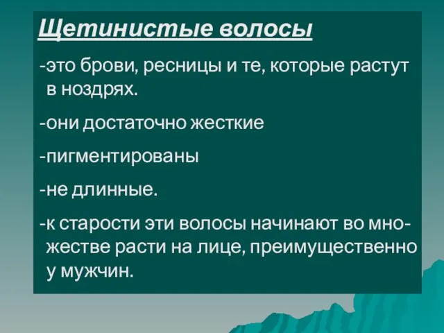 Щетинистые волосы это брови, ресницы и те, которые растут в ноздрях. они