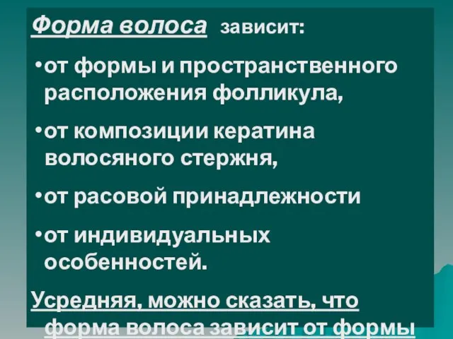 Форма волоса зависит: от формы и пространственного расположения фолликула, от композиции кератина