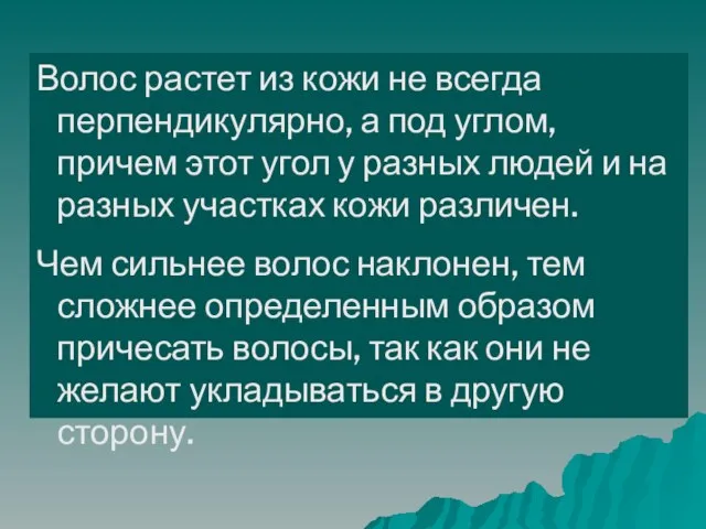 Волос растет из кожи не всегда перпендикулярно, а под углом, причем этот