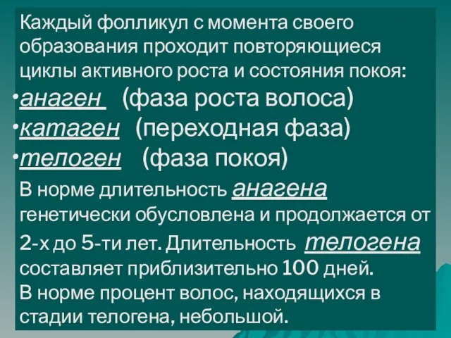 Каждый фолликул с момента своего образования проходит повторяющиеся циклы активного роста и